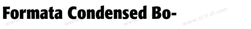 Formata Condensed Bo字体转换